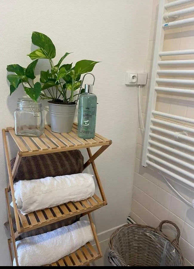 Maison Cosy Paris Orly Jardin Privee Vitry-sur-Seine 0*,